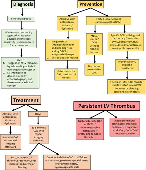 lv thrombus doac|lv mural thrombus treatment guidelines.